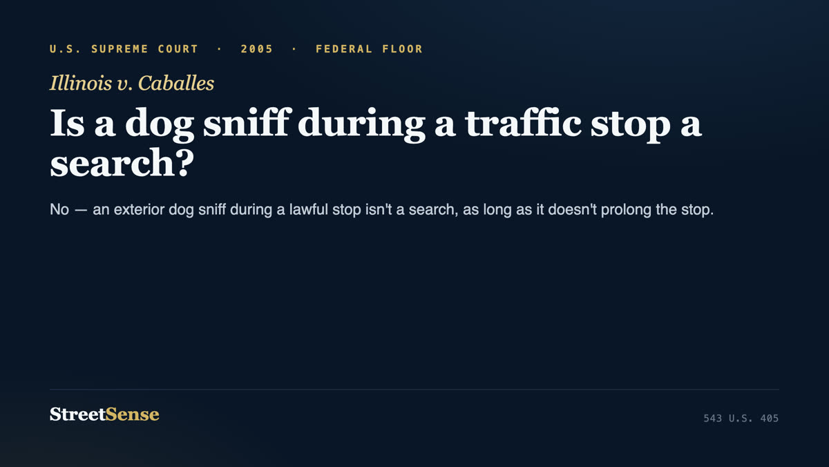Illinois v. Caballes (2005) case card — an exterior dog sniff during a lawful stop is not a Fourth Amendment search